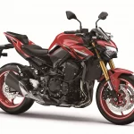 fernando amantini kawasaki